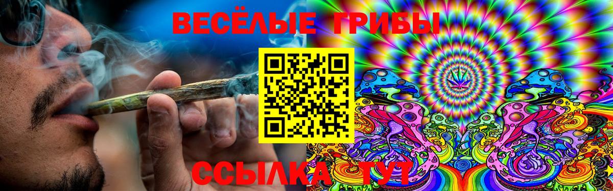 Галлюциногенные грибы мухоморы Ярославль