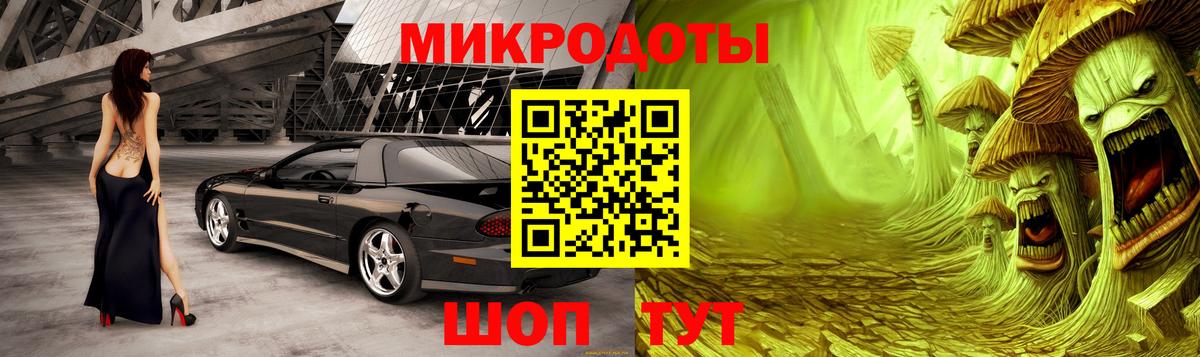 Ярославль  Галлюциногенные грибы Psilocybine cubensis  Вход с VPN 