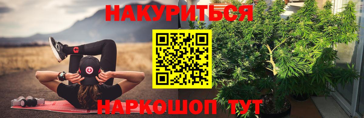 ГАШИШ Ярославль